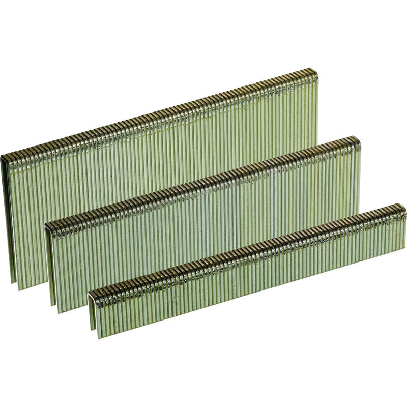 Senco AccuSet 1/4 In. x 1/2 In. to 1 In. 18-Gauge Galvanized Medium Wire Finish Staple Variety Pack (1000 Ct.)