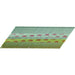 Senco 2 In. 15-Gauge Galvanized 34 Degree Angled Finish Nail (1000 Ct.)