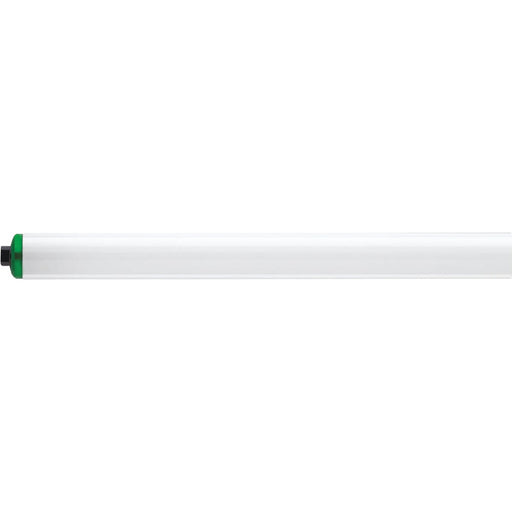 Philips 110W 96 In. Cool White T12 Recessed Double Contact High Output Fluorescent Tube Light Bulb (2-Pack)
