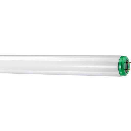 Philips ALTO 40W 48 In. Bright White T12 Medium Bi-Pin Fluorescent Tube Light Bulb (2-Pack)